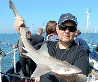 7 lb Smooth-hound (Common) by Unknown