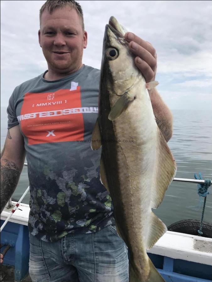 6 lb Pollock by Brad from Goole ,a good pollock