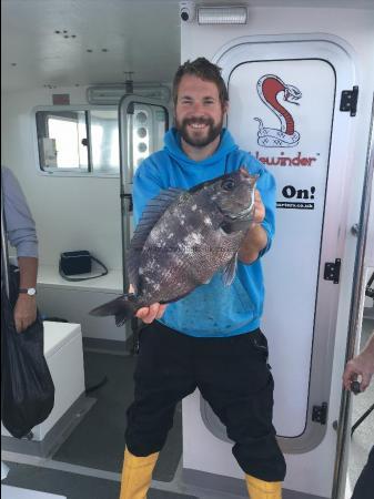 4 lb 10 oz Black Sea Bream by Skipper