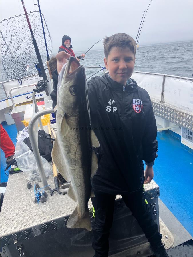 5 lb Pollock by Unknown