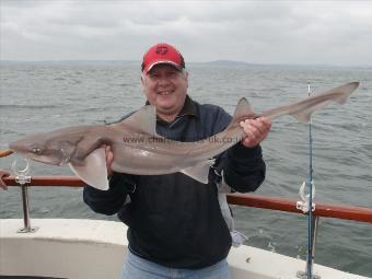 14 lb 12 oz Smooth-hound (Common) by Dave Manners