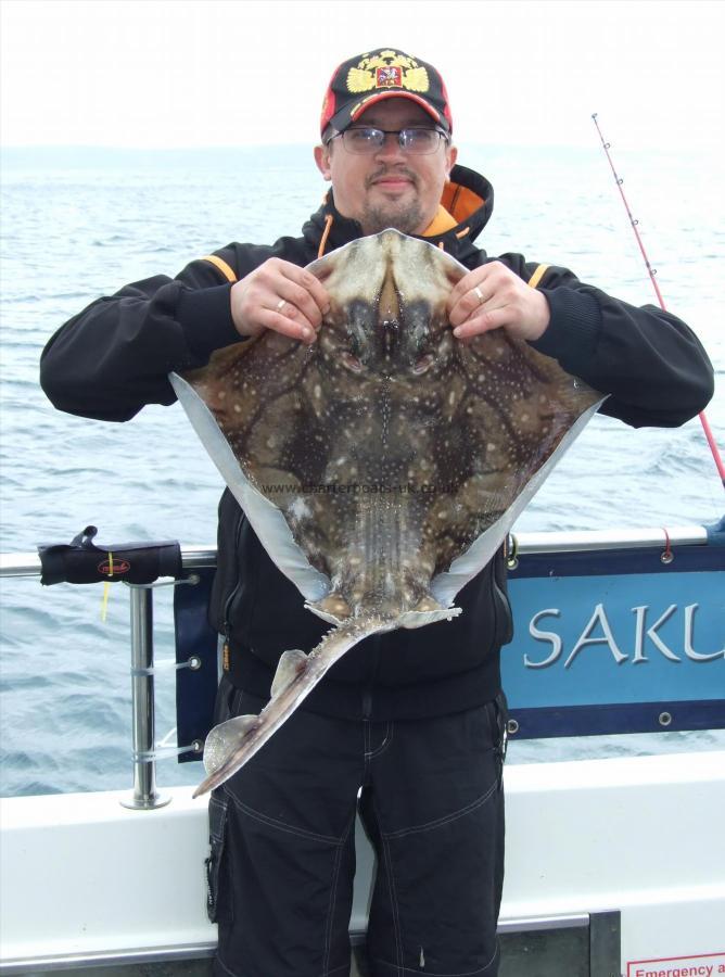 10 lb 8 oz Undulate Ray by Oleg Lukins