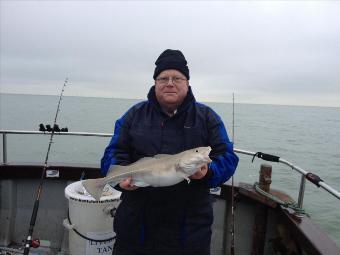 4 lb 8 oz Cod by Mickey B