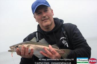 2 lb 8 oz Pollock by Alwyn