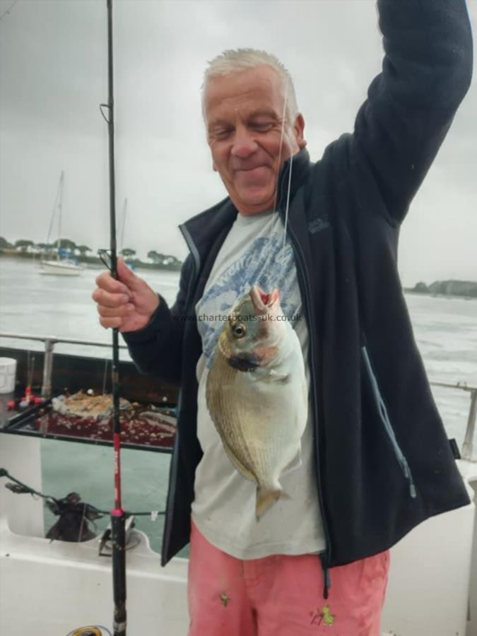 2 lb Gilt-head Sea Bream by paul +guilthead