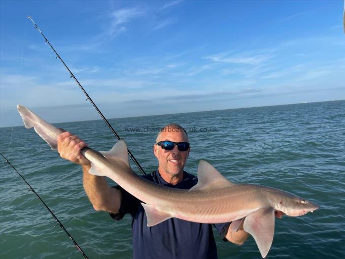7 lb Smooth-hound by Unknown