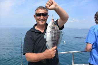 3 lb 8 oz Black Sea Bream by Stephen Wake