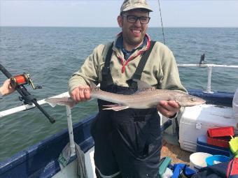 5 lb Smooth-hound (Common) by Martin