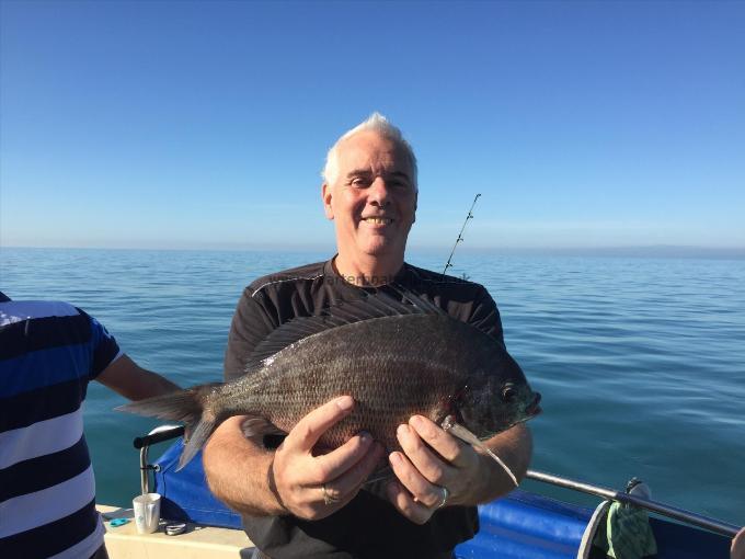 3 lb Black Sea Bream by Dave Harding