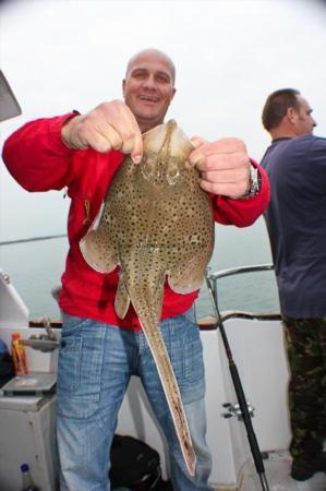 2 lb Spotted Ray by Camera Man :)