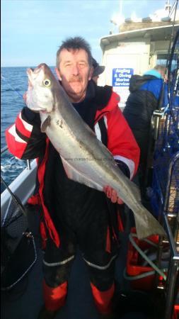 14 lb 1 oz Pollock by Unknown