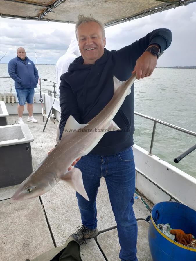 12 lb 3 oz Starry Smooth-hound by Paul