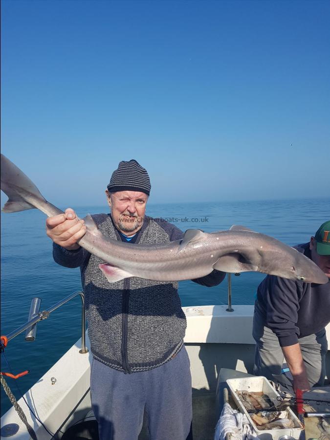 16 lb Spurdog by Ralph with his Spur