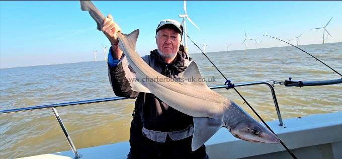 14 lb Smooth-hound by Geordie