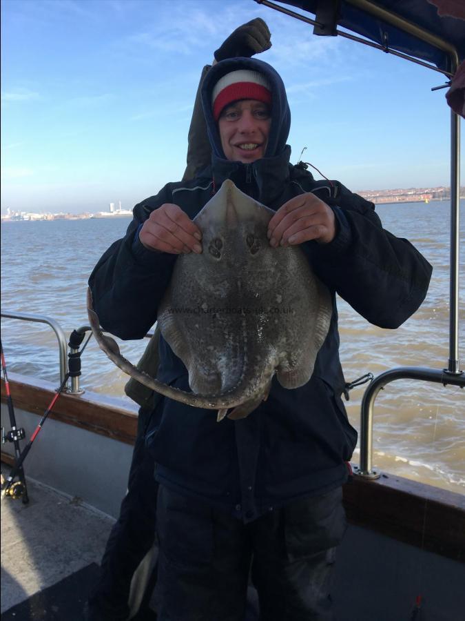 8 lb Thornback Ray by Unknown