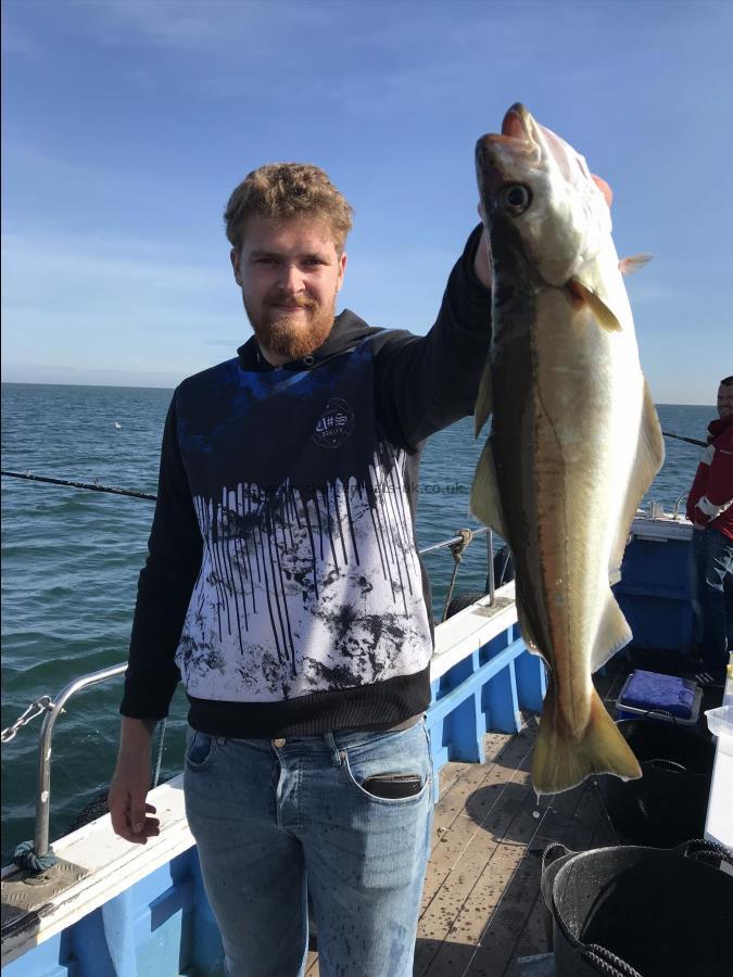 5 lb Pollock by Adam from Beverley pollock fishing