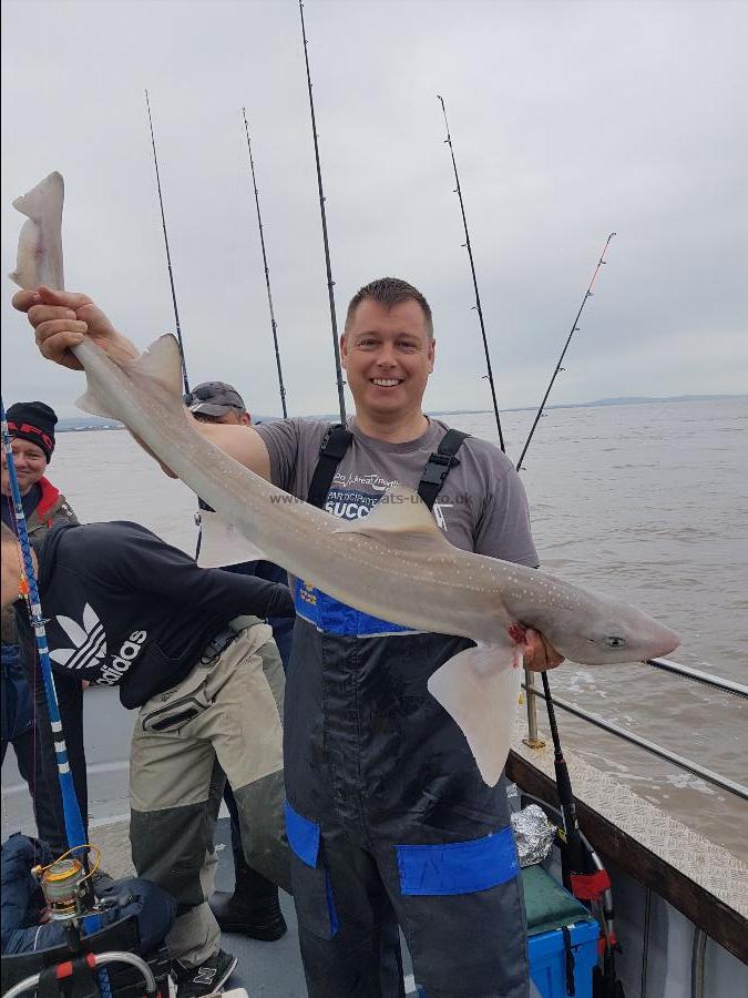 12 lb Smooth-hound (Common) by Royal marines