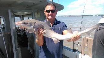 10 lb Starry Smooth-hound by richard jennings
