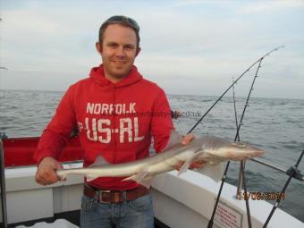 5 lb Smooth-hound (Common) by James Houlder