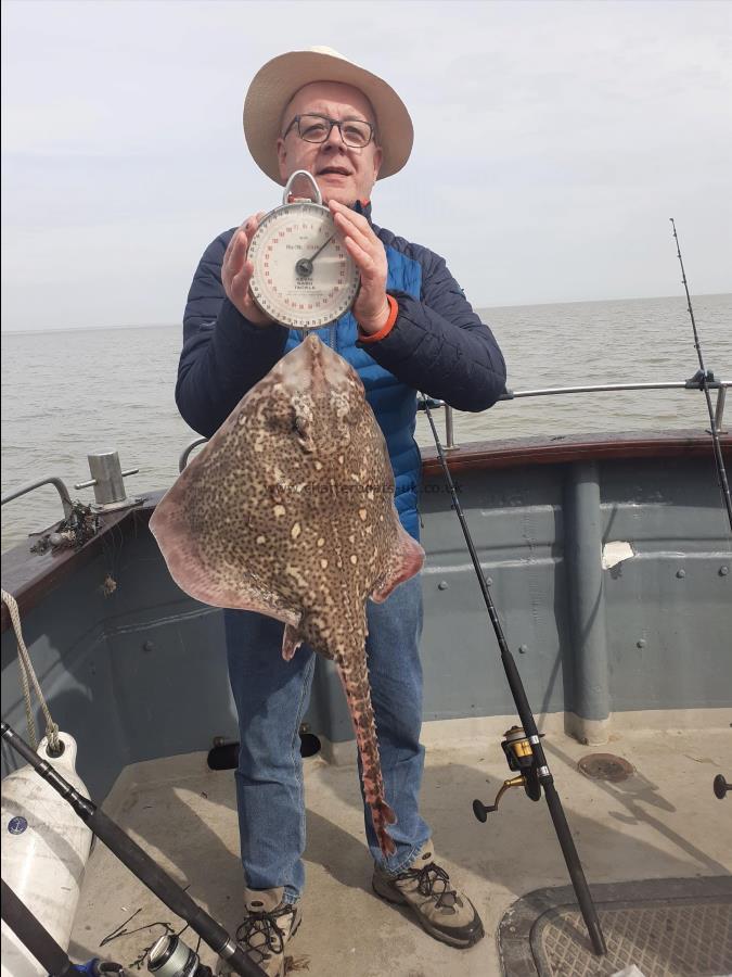 14 lb Thornback Ray by Marek  Kotowski