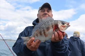 3 lb Black Sea Bream by Stephen Wake