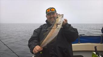 5 lb Pollock by Stephen Wake