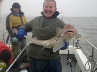 14 lb 2 oz Starry Smooth-hound by dean lewis