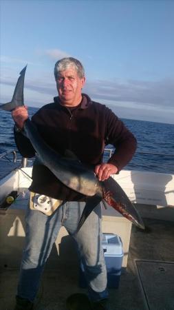 25 lb Blue Shark by Mark Perkin