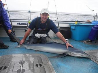 100 lb Blue Shark by Kevin McKie