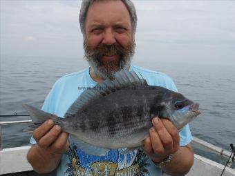 3 lb Black Sea Bream by skipper