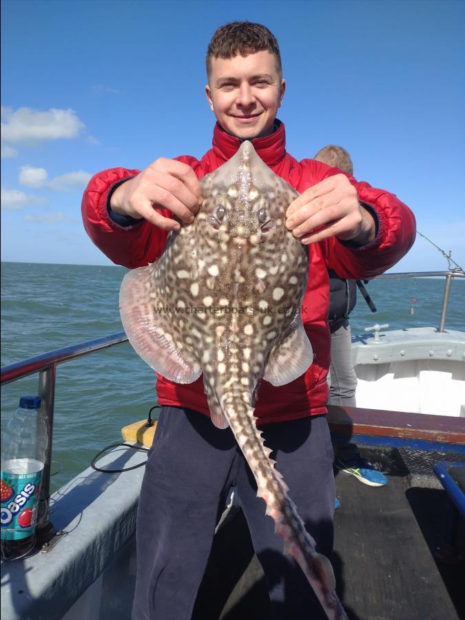 5 lb Thornback Ray by Deano