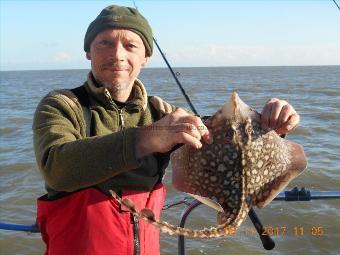 3 lb Thornback Ray by Graham