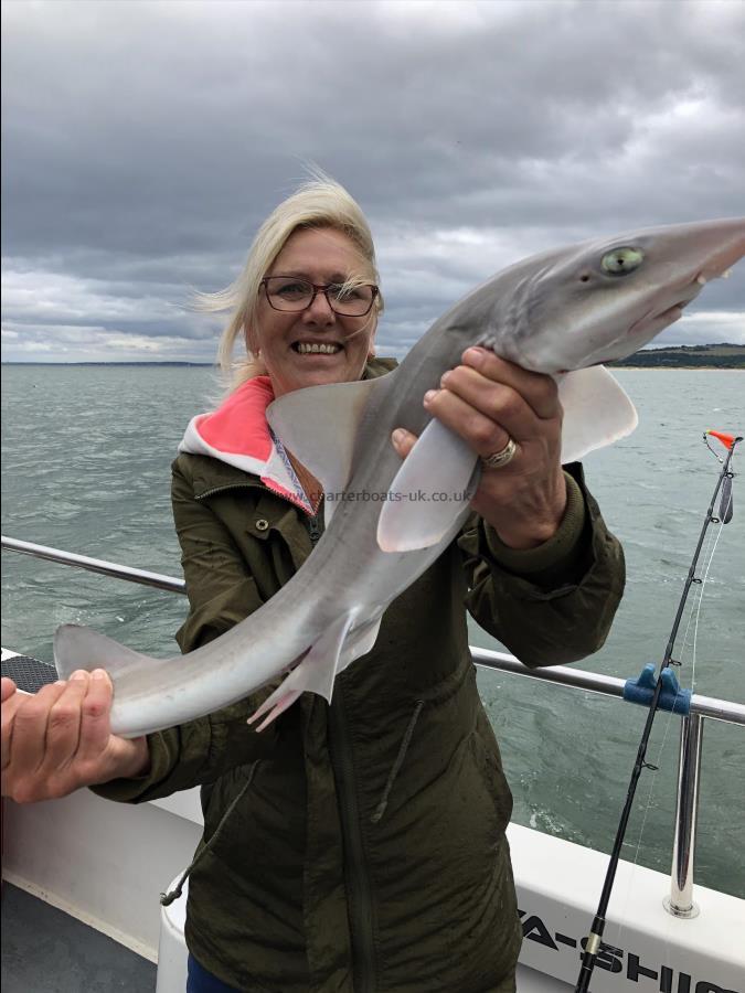 4 Kg Starry Smooth-hound by Ray Crowe