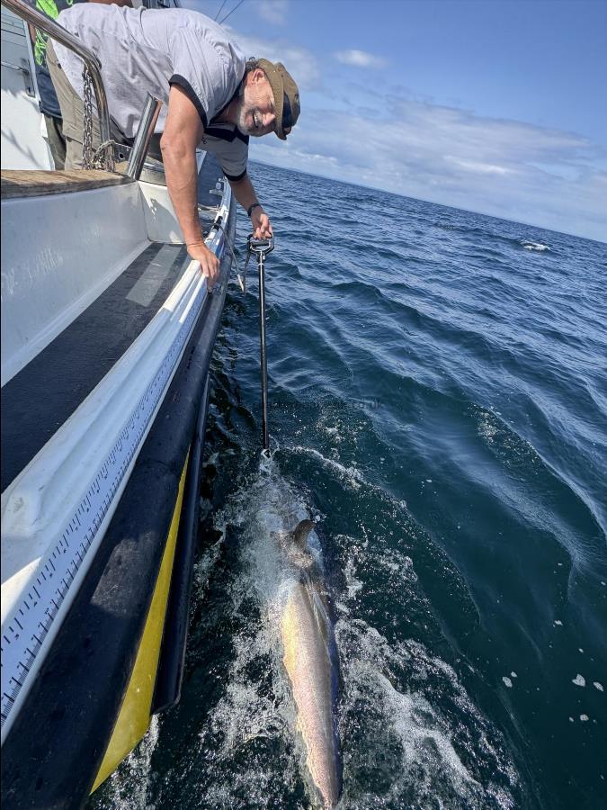 220 lb Bluefin Tuna by Unknown