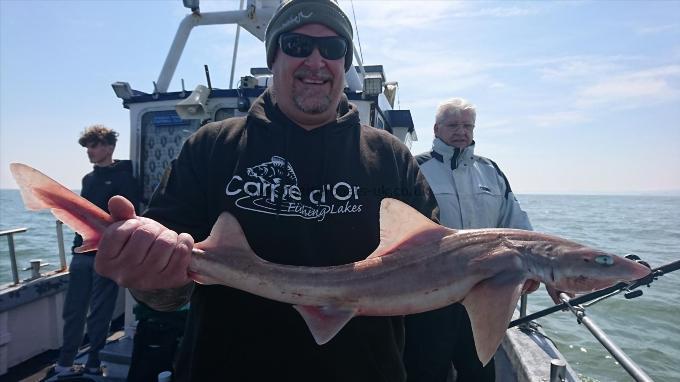 7 lb Smooth-hound by John from Kent