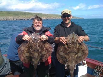 14 lb 8 oz Undulate Ray by Mac and Richard together.....