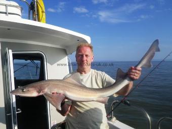16 lb 8 oz Starry Smooth-hound by Unknown