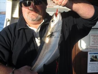 2 lb 8 oz Pollock by steve