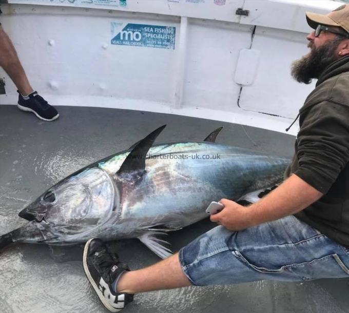 250 lb Bluefin Tuna by Unknown