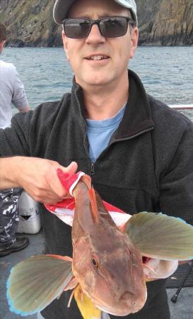 2 lb 14 oz Tub Gurnard by jonathon