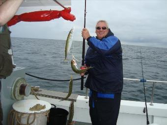 1 lb Mackerel by Paul