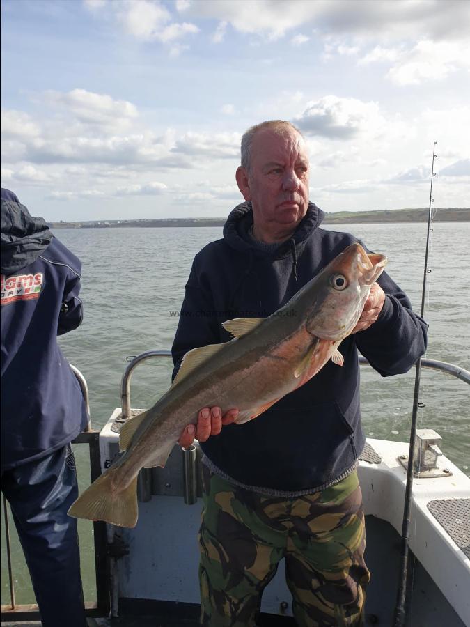 6 lb Pollock by Neil Oswick