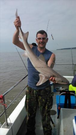 12 lb Starry Smooth-hound by lee mahagan