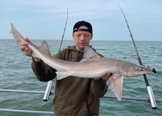 8 lb 8 oz Smooth-hound by Unknown