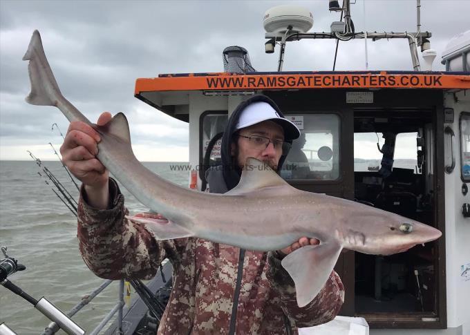 8 lb Smooth-hound by Unknown