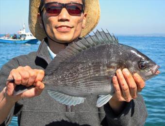 4 lb 3 oz Black Sea Bream by Unknown