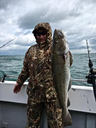 17 lb Cod by Unknown