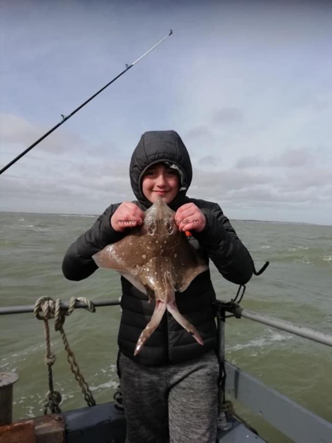 3 lb Thornback Ray by Unknown