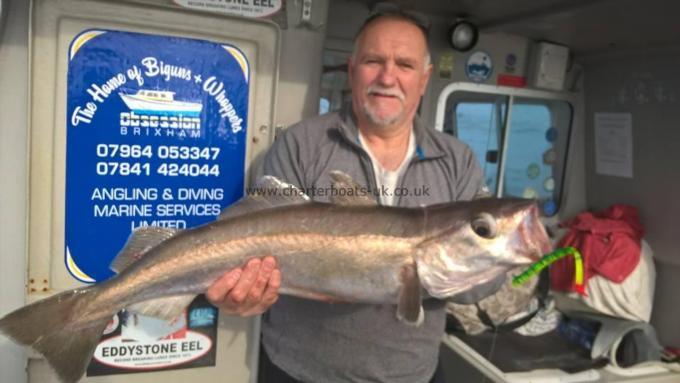 12 lb 6 oz Pollock by unknown