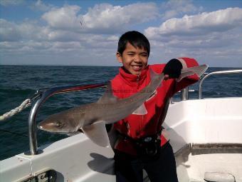 7 lb 11 oz Starry Smooth-hound by Ben Watts